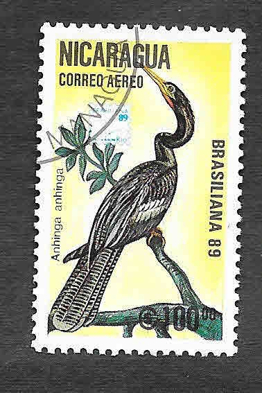 C1172 - Pájaro Cuello de Serpiente