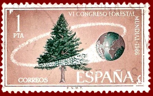 Edifil 1736 VI Congreso forestal mundial 1