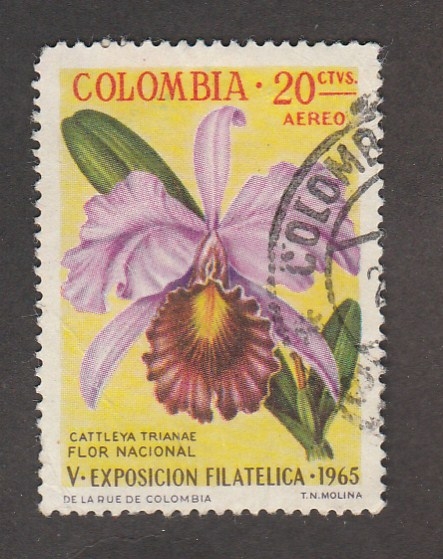 Flor Cattleya trianae