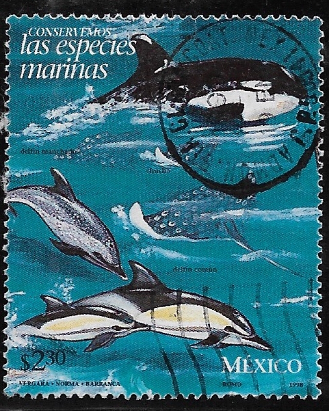 Orca y delfines