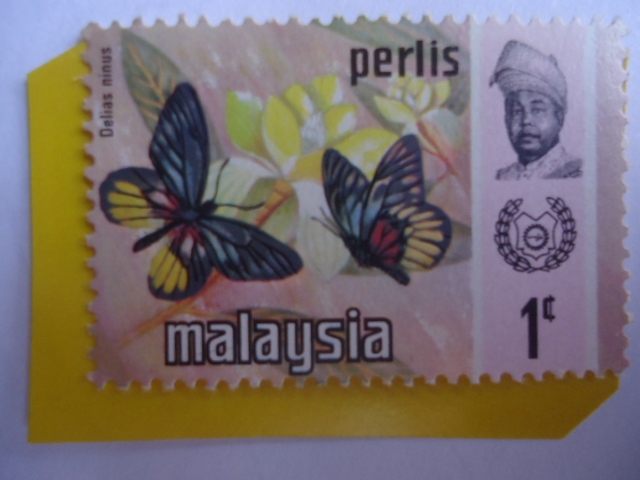 Malasia, Estados Federales- Malayan Jesebel (Delias ninus)-Mariposa- Serie:Perlis.