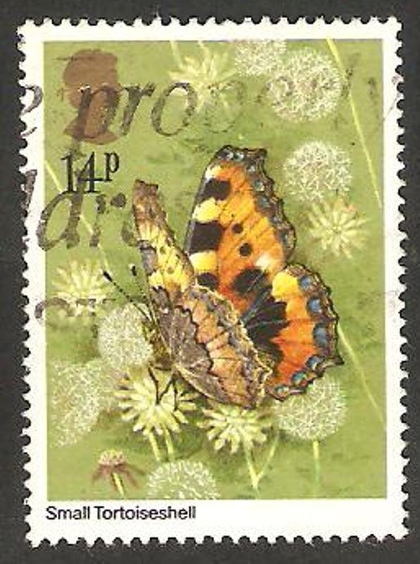 992 - Mariposa aglais urticae