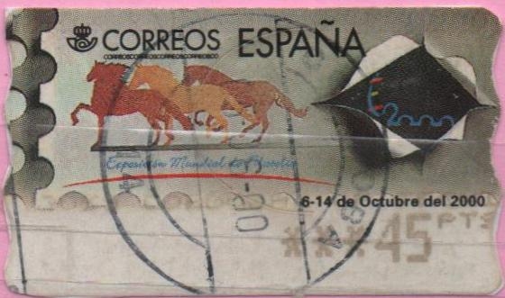 Mundial España 2000
