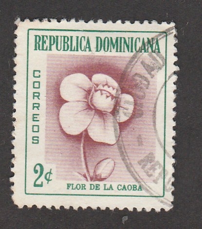 Flor de la caoba