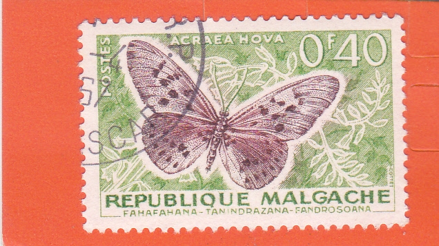 MARIPOSA 