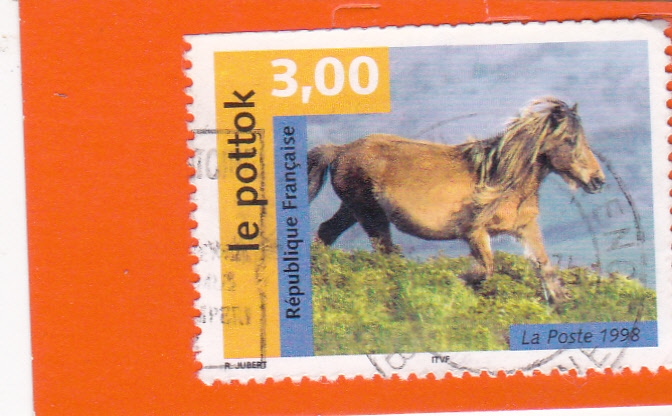 CABALLO