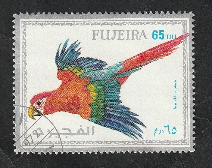 Fujeira - Guacamayo rojo, Ara chloropterus