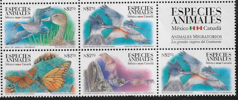 Especies migratorias México-Canadá 