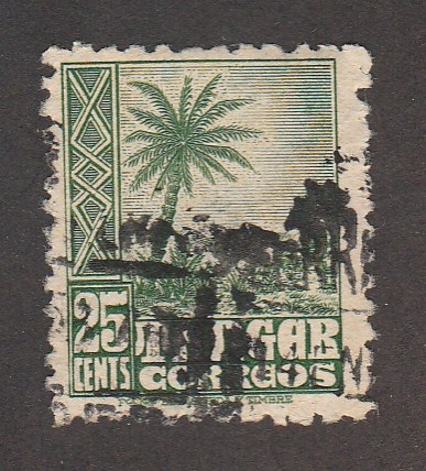Palmera (Tanger)