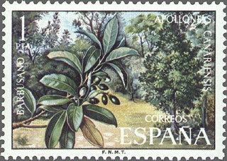 2120 - Flora - Barbusano