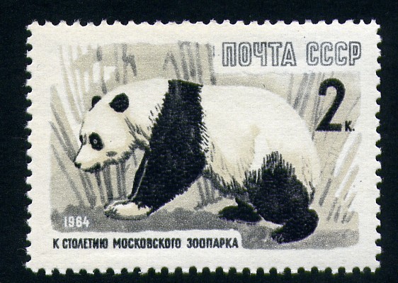 Oso panda