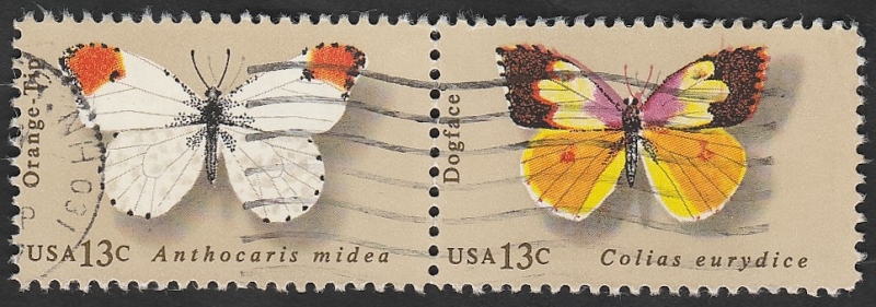 1163 y 1162 - Mariposas