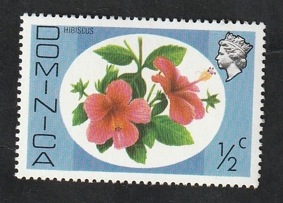 447 - Hibiscus
