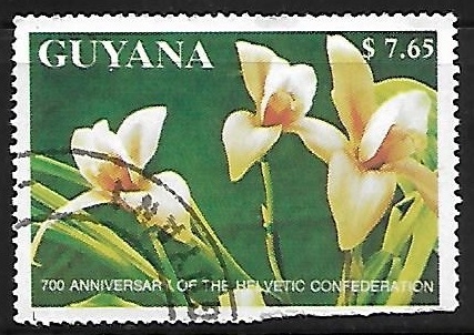 Orquidea