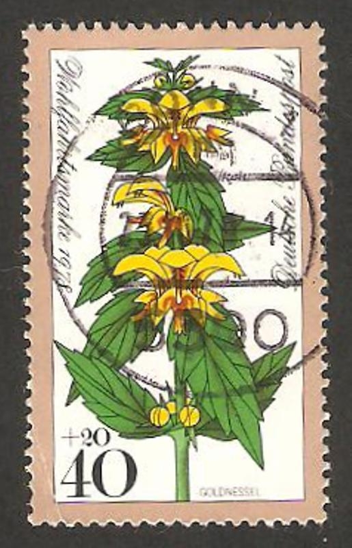 830 - Flor lamier jaune