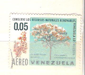 RESERVADO mari mari rosado