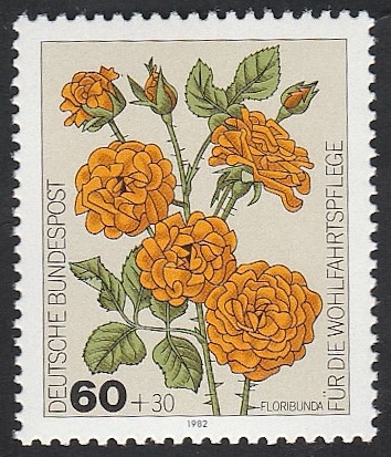 983 - Rosas