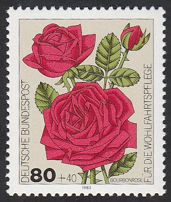 984 - Rosas