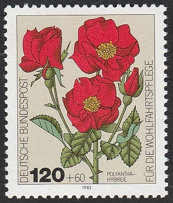985 - Rosas