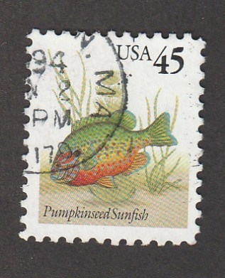 Pumpkinseed sunfish