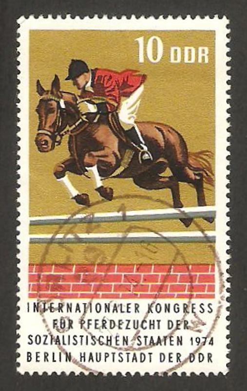 1651 - Campeonato internacional de salto a caballo