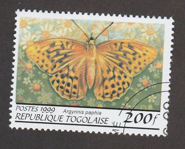 Argynnis paphia