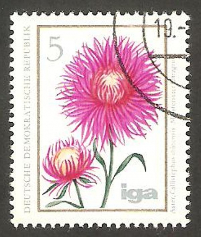 1750 - Flor