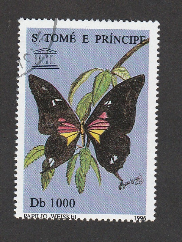 Papilio weiskfi