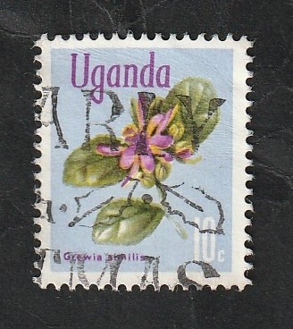 83 - Flor grewia similis