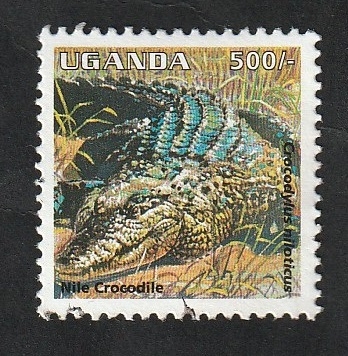 1238 - Reptil crocodylus niloticus