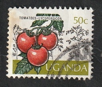 101 - Tomates