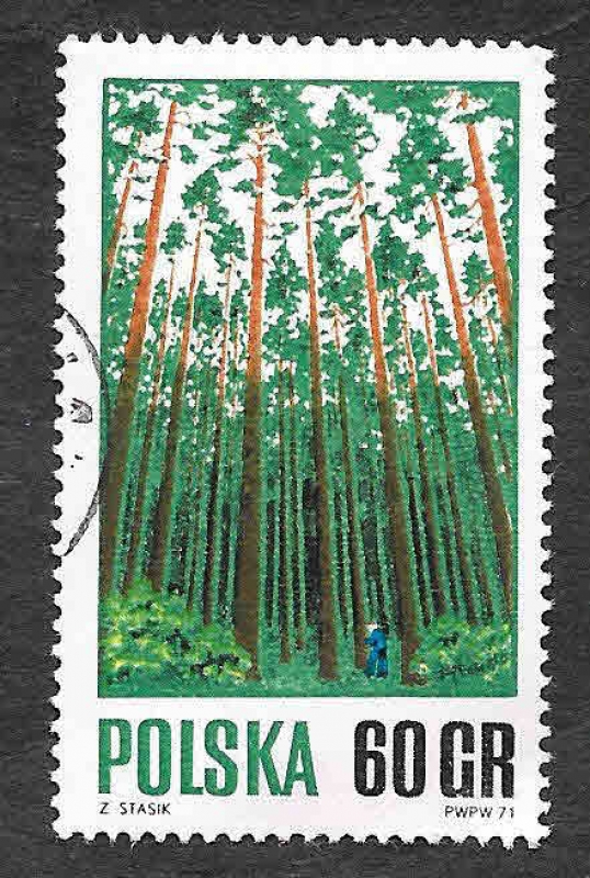1798 - Manejo Adecuado de los Bosques