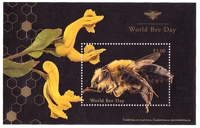 Día mundial de la abeja