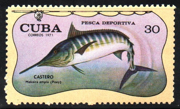 PESCA  DEPORTIVA.  MAKAIRA  AMPLA.