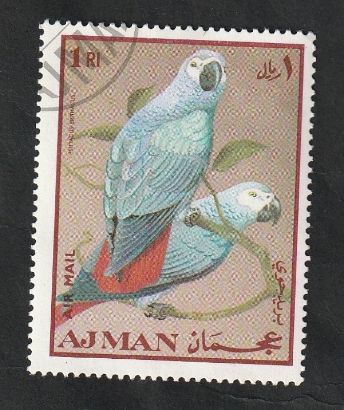 Ajman - 54 - Aves