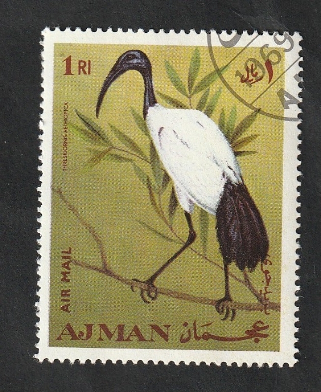 Ajman - 54 - Aves
