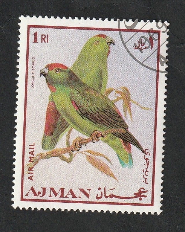 Ajman - 54 - Aves