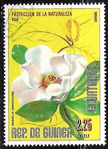 Proteccion de la naturaleza - Magnolia grandiflora