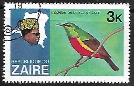 L`expedition de Fleure Zaire - Regal Sunbird