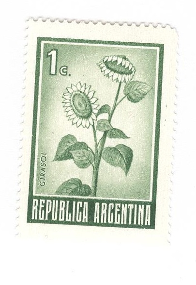 Girasol
