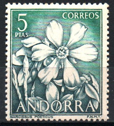 NARCISSUS  POETICUS