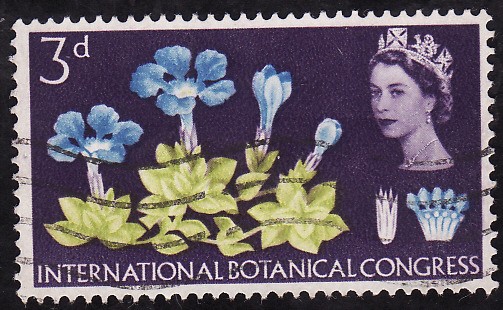 Congreso Internacional de Botánica