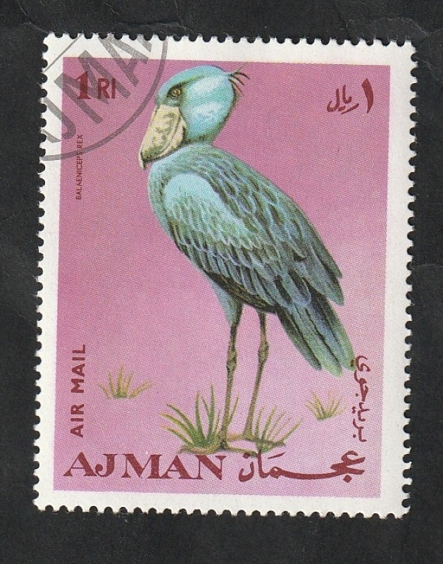 Ajman - 54 - Ave