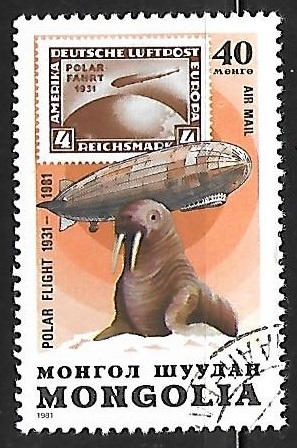 zepelin - Walrus (Odobenus rosmarus)