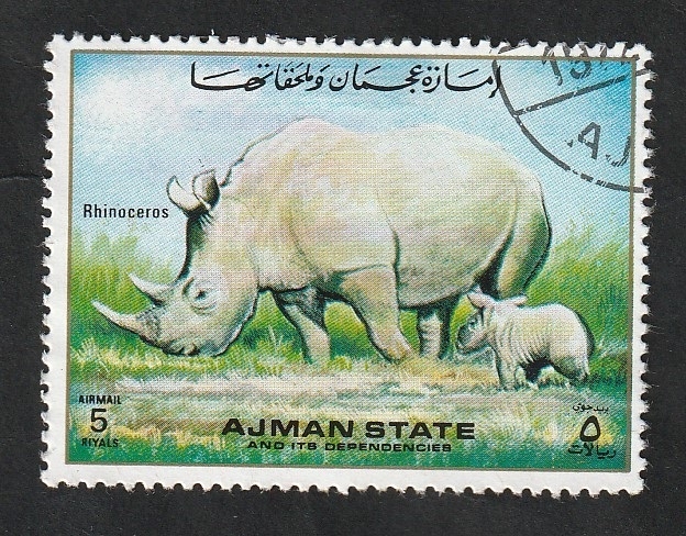 Ajman - Rinocerontes