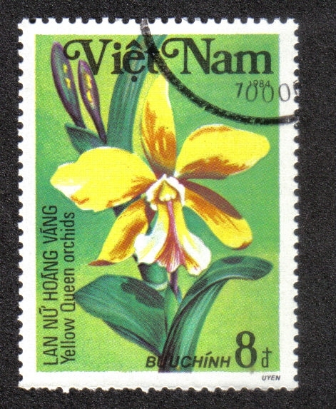Orquídeas, reina amarilla de Cattleya