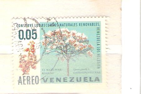 el mari mari RESERVADO