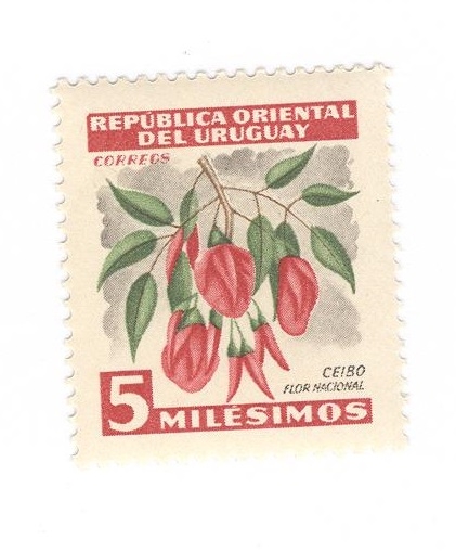 Ceibo, flor nacional