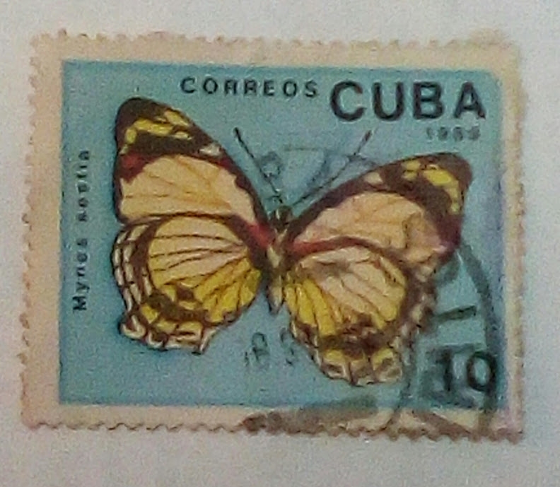 mariposa