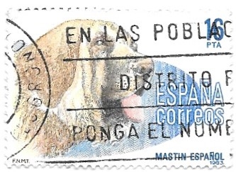 mastín español